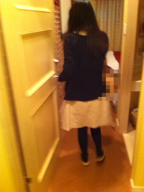 �l�b�g�i���p�̉摜